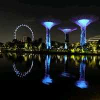 garden by the bay สิงคโปร์