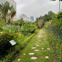 Macau Wetland of Beach Avenue,Taipa