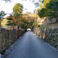 興聖寺　
