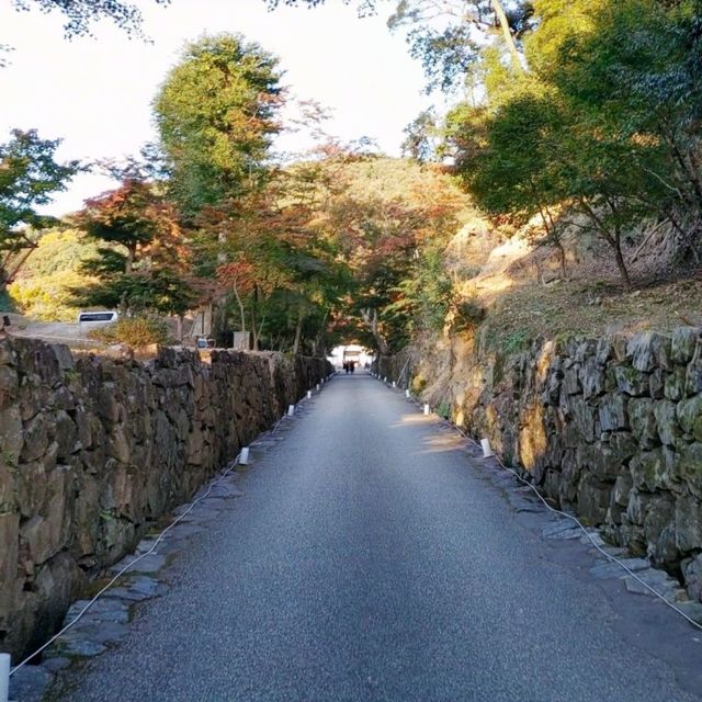 興聖寺　