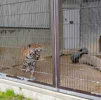 Zoo in Nagoya