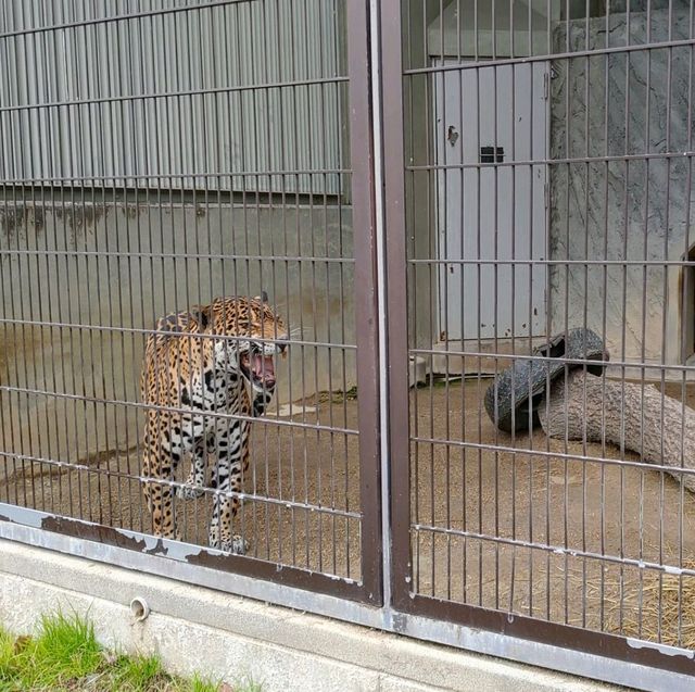 Zoo in Nagoya