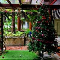 เมอร์เคียว กูตา บาหลี (Mercure Kuta Bali)


