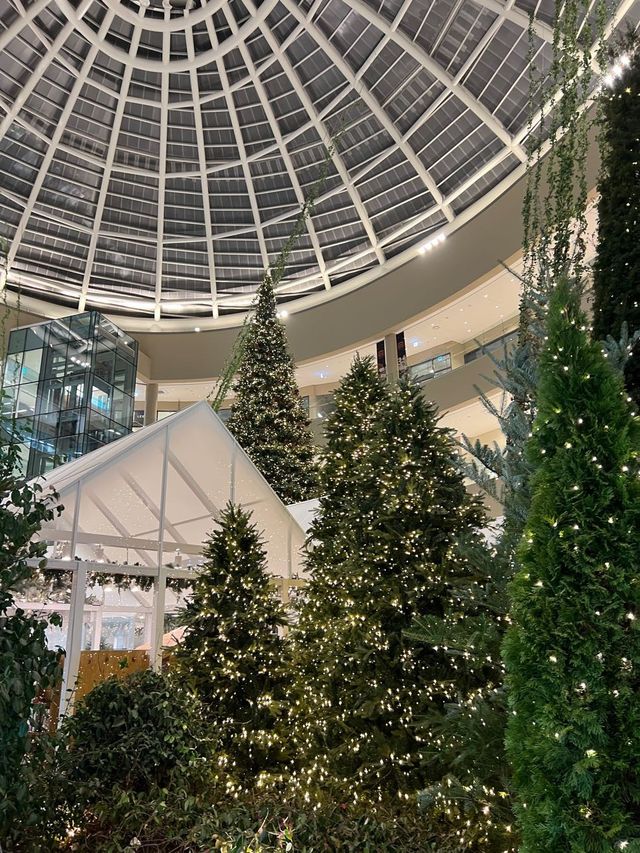 🎄 대형트리와 크리스마스 마켓이 있는 의왕 타임빌라스 🎄