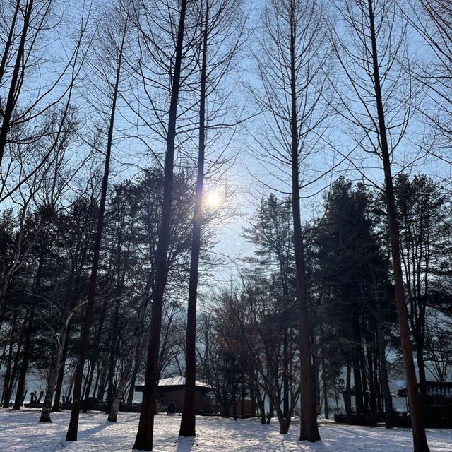 韓國🇰🇷春川南怡島🤲🏻冬日戀歌之路😌雪地浪漫💕漫步