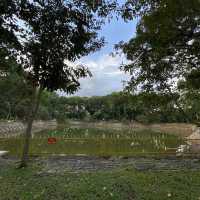 Hoang Van Thu Park