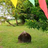 ทุ่งนา สะพานไม้ ใบเสมาหินโบราณ เต่างอย สกลนคร