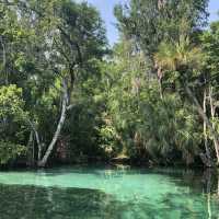kayaking along rainbow river