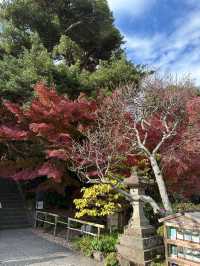 長谷寺