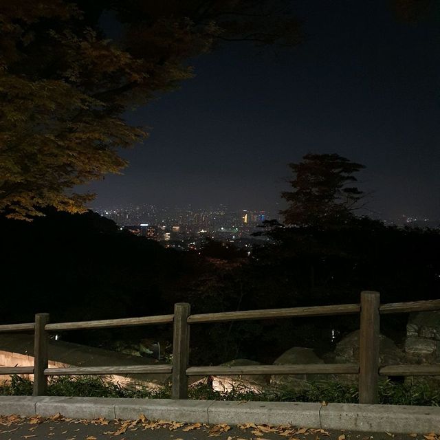시티투어버스 타고 즐기는 서울타워의 야경⭐️