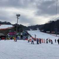 강원도 홍천 스키장🏂비발디파크 스키장