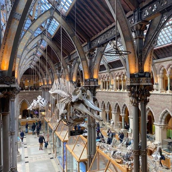 Oxford University Museum of Natural History 