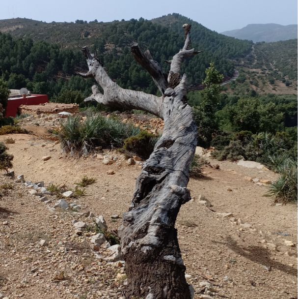 Trekking in the Atlas Mountains 