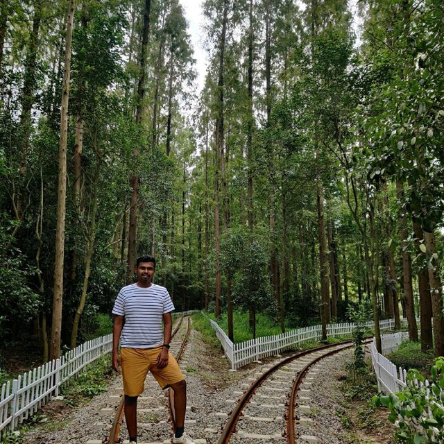 On the track !