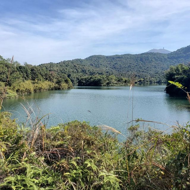 河背水塘 