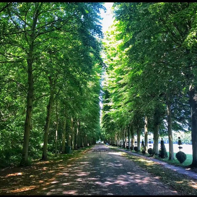 The Garden of Palace of Versailles