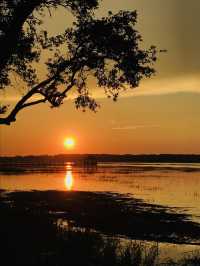 South Carolina Sunsets - Hilton Head Island🌅