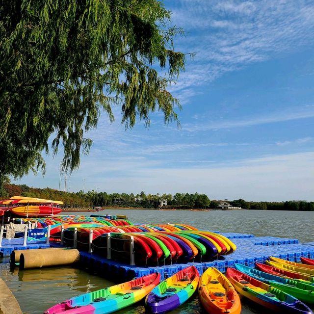 Haiwan Forest- Pet friendly & in Shanghai