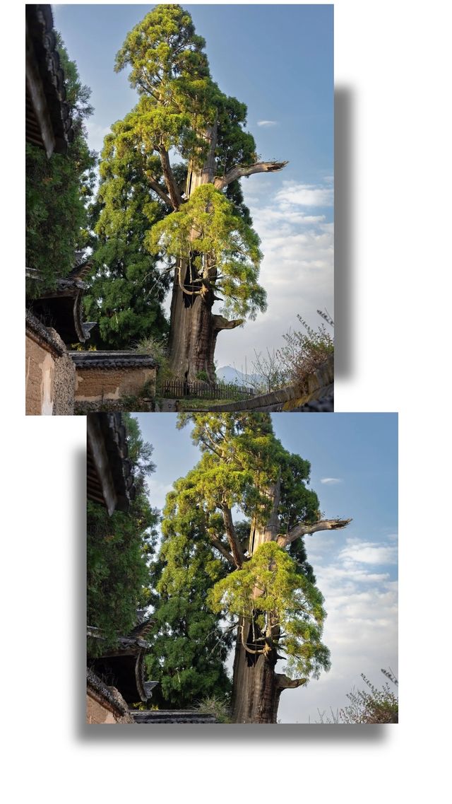 Through the gate of time and space, I found the most beautiful thousand-year-old temple in Zhejiang.