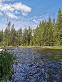 Yellowstone National Park, walking on the wilderness. (3)