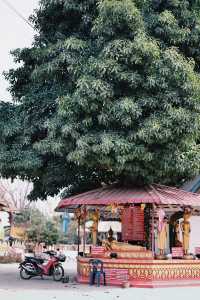 Laos, the lost paradise of Southeast Asia, has beautiful scenery everywhere in the Golden Triangle.