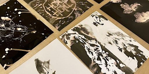 Introduction to Alternative Photography | The Art House