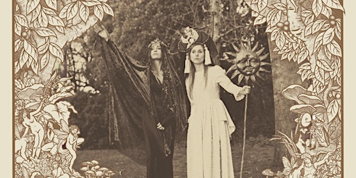 The Butterfly Wheel LIVE | Hastings Museum & Art Gallery