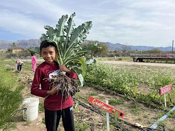 Seed to Fork Culinary Camp '25 | Tucson Village Farm 4-H Healthy Living Center