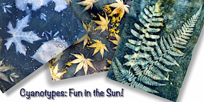 Cyanotypes (Sun Prints) with Joann Benzinger | Wild Hare Gallery