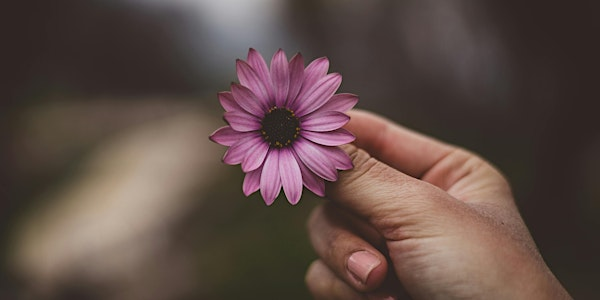 Stoicism and Serenity: Living Simply and According to Nature | Hallbankgate Hub