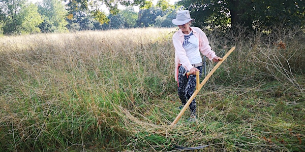An Introduction to Scything | Pucks Oak Barn