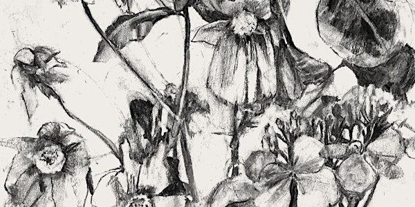 Alternative Anatomy of a Flower with Chloe Briggs | Draw Brighton