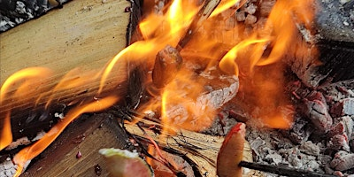 An Introduction to Fire Lighting | Woodland Wellbeing HQ