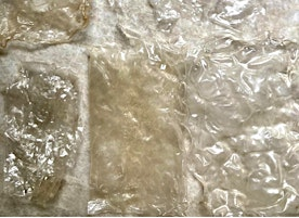 Make your Own Bio-Plastic Workshop | Biotech without Borders