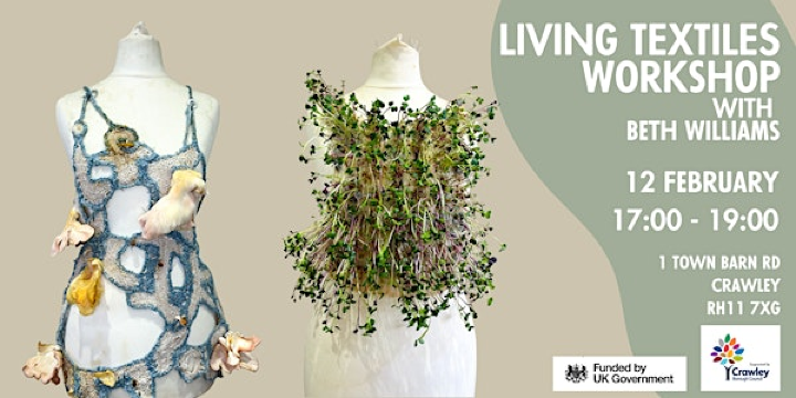 Living Textiles Workshop with Beth Williams | 1 Town Barn Rd