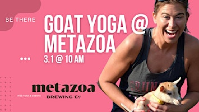 Goat Yoga at Metazoa | Metazoa Brewing Company