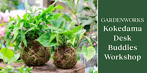 Kokedama Desk Buddies Workshop at GARDENWORKS Nanaimo | GARDENWORKS Nanaimo