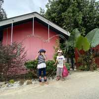 Rimba Cafe Kuala Kedua