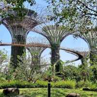 Gardens By the Bay, Bayfront Plaza 