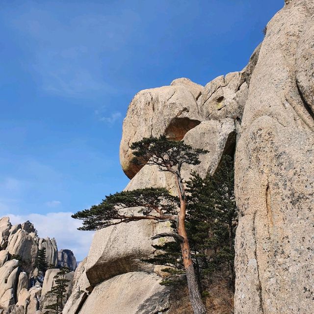 눈내린 설악산 울산바위 올라가기!