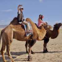 훼손되지않은 자연🏞몽골에서 낙타타기🐫