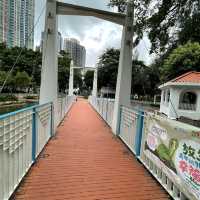 賞花的好地方-荃灣公園