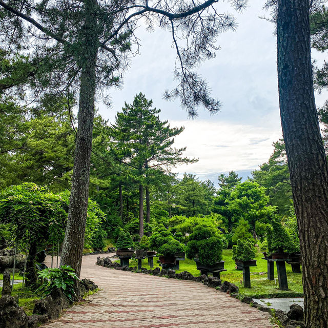Hallim Park in Jeju 🌳 