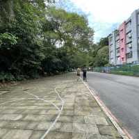 位於台北市區的仙境步道 富陽生態公園