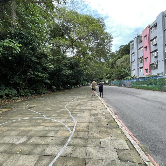 位於台北市區的仙境步道 富陽生態公園