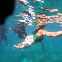 MOALBOAL- Sea Adventure
