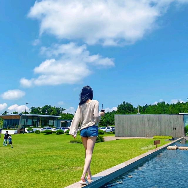 어딜 찍어도 예쁜 곳, 방주교회 ⛪ 