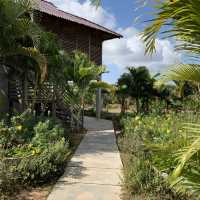 Retreat to pepper farm in Cambodia!