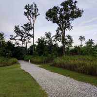 Jurong Lake Gardens
