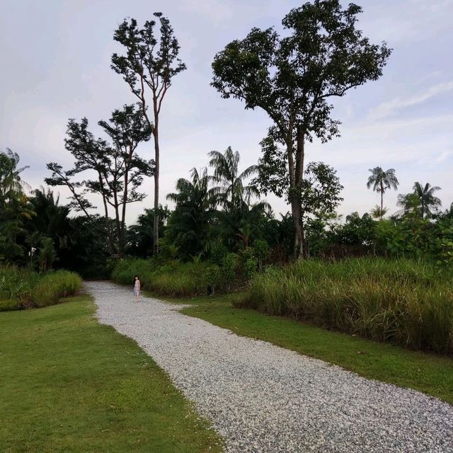 Jurong Lake Gardens